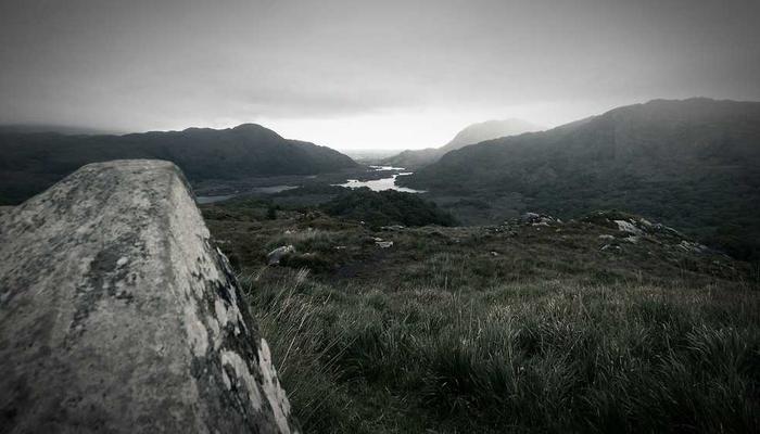 New arrivals to the archive