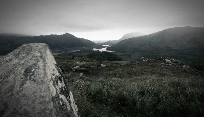 New arrivals to the archive