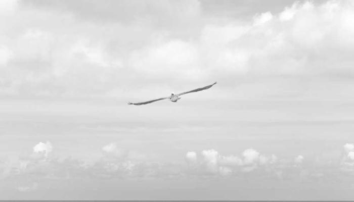 The virtual exhibition is open