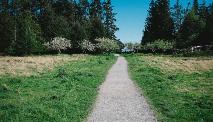 A study of the work of 19th-century Russian poets